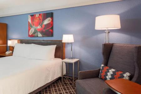 Hilton Garden Inn Dallas/Market Center - 50