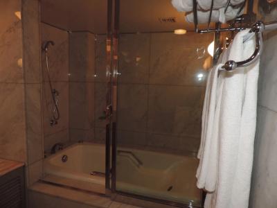 Grand Terrace Chitose - 8
