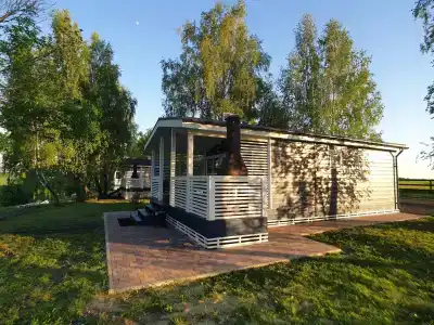 Березовый берег - 87