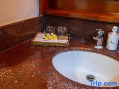 Alam Puri Art Museum Resort & Spa - 146