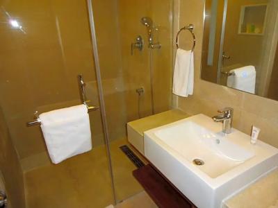 Abu Sarovar Portico,Chennai - 35