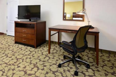 Hilton Garden Inn Airport - 40
