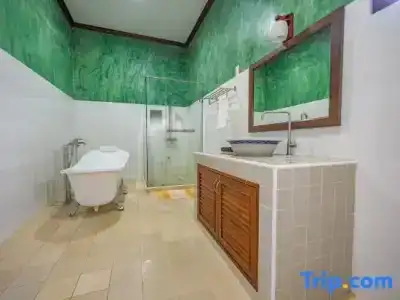 Monmuang - 181