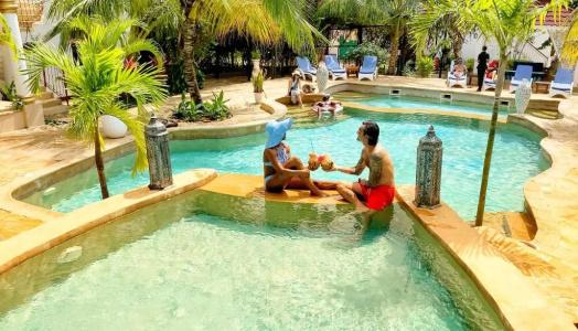 Natural Kendwa Villa - 31