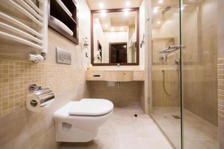 Galicja Wellness & Spa - 18
