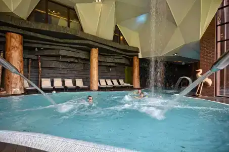 Żubrówka Spa & Wellness - 10