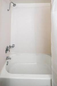 Springhill Suites Houston Medical Center / Nrg Park - 3