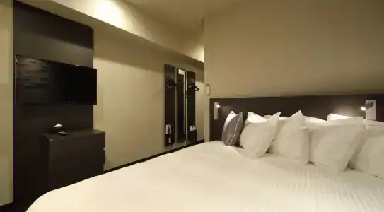 Red Roof Inn Kamata / Haneda Tokyo - 47