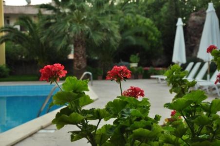 Palm Court Suites - 46