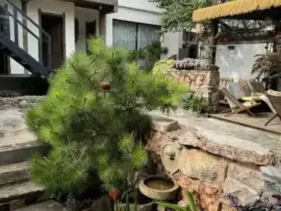 Lijiang Zifayu Designer Boutique Inn - 8