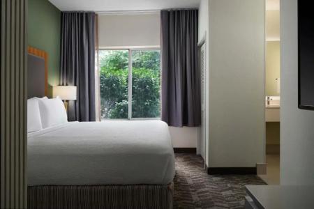 SpringHill Suites Nashville MetroCenter - 57