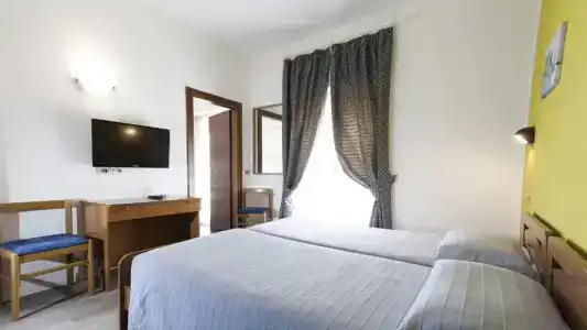 Alberello - 47