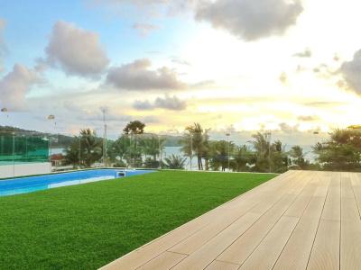 Bearpacker Patong Hostel - Sha Extra Plus - 17