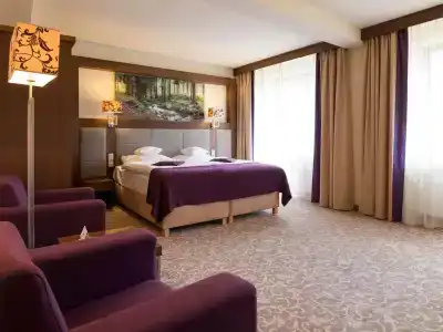 Mercure Krynica Zdrój Resort&Spa - 26