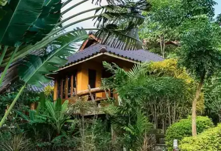 Pura Vida - 77