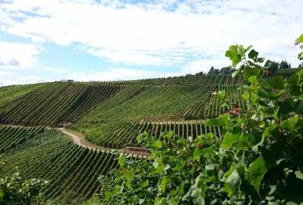 DesignKronjuwel - 16