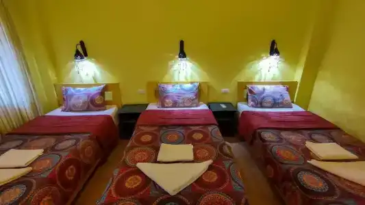 Shams & Dive Centre - 19