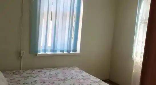 Дельфин - 0