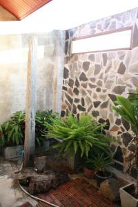 Waterside Resort - 43