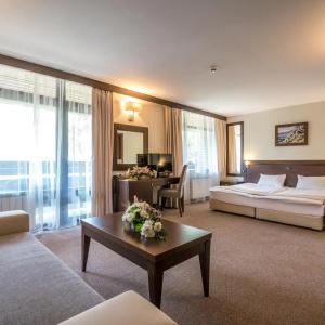 Lion Borovets - 29