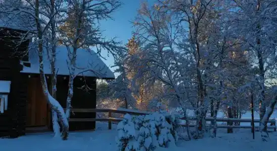 Wilderness Muotka & Igloos - 0
