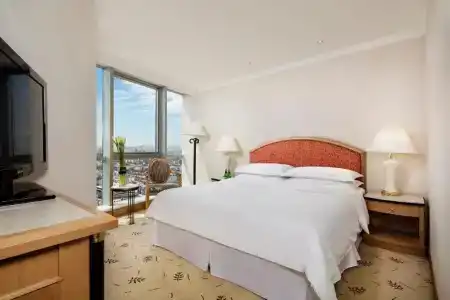 Sheraton Nanjing Kingsley & Towers - 199