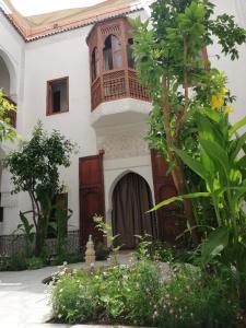 Riad Ben Youssef - 21