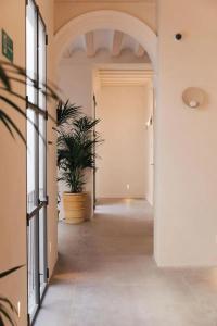 Plácido y Grata - 18