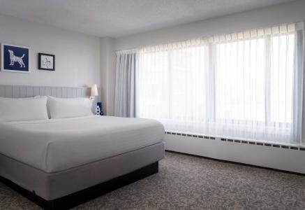 Sonesta ES Suites Chicago Downtown Magnificent Mile - 30