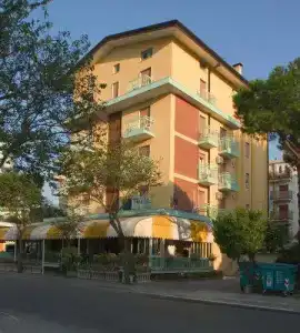 Le Petit - 11