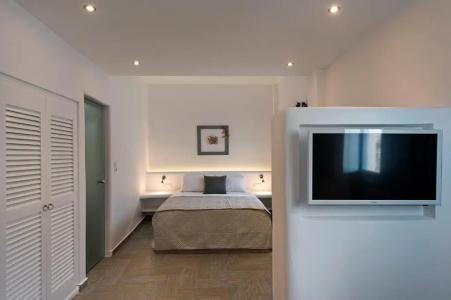 Alizea Villas & Suites - 113