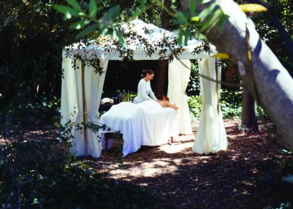 Milliken Creek Inn - 11