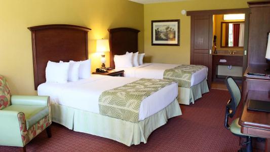 Rosen Inn International Near The Parks - 6
