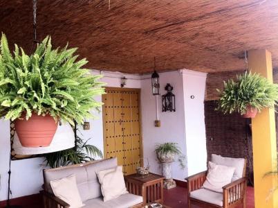 Naranjo - 8