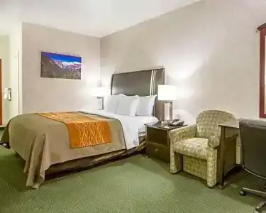 Comfort Inn Yosemite Area - 61