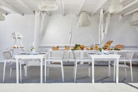 Petri Suites - 9
