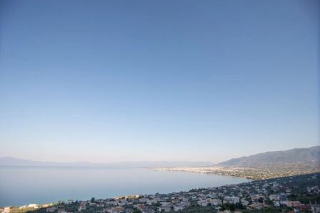 Belvedere - 42