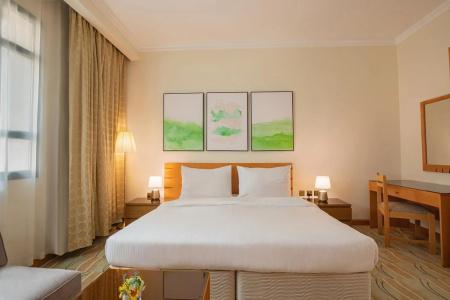 Swiss-Belinn - 29