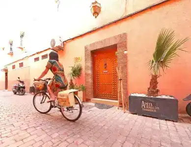 Riad Amya - 0