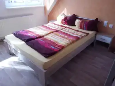 Pension zum Ringelberg - 81