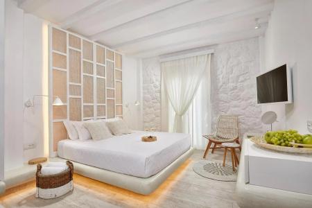 Petri Suites - 1
