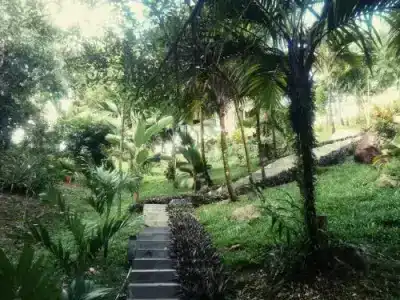 Vanilla - 10