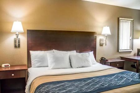 Comfort Inn - 30