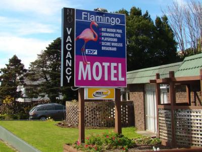 Flamingo - 19
