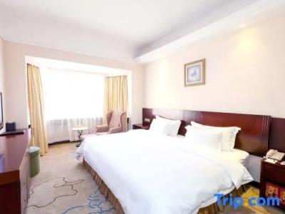 Kinkey Oriental Regent - 7