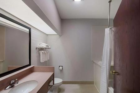 Quality Inn & Suites Dfw Airport South - 10