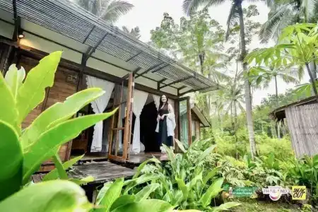 Jungle Koh - 43