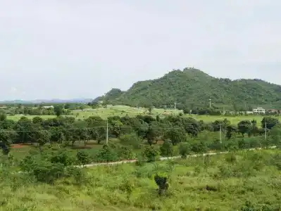 360 PIP KHAOYAI - 16