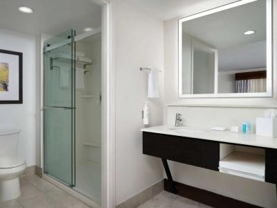 Hampton Inn & Suites Austin-Downtown/Convention Center - 38