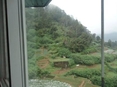 Ashley Resorts - 11
